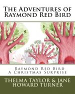 Raymond Red Bird A Christmas Surprise: The Adventures of Raymond Red Bird, Vol. 7