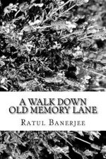 A Walk Down Old Memory Lane: My Book of Poems