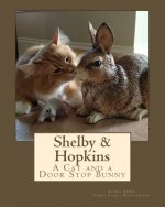 Shelby & Hopkins: A Cat and a Door Stop Bunny