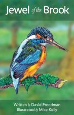 Jewel of the Brook: The Kingfisher's Tale