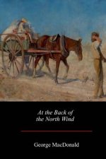 At the Back of the North Wind