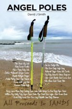 Angel Poles: The True Story of Britains Most Famous Walking Poles and the Angels They Carried.