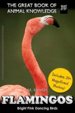 Flamingos: The Bright Pink Dancing Birds