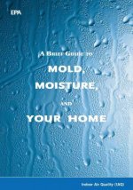 A Brief Guide to Mold, Moisture, and Your Home