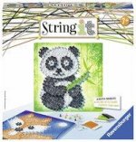String it Midi: Panda & Fox