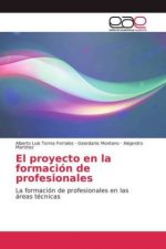 proyecto en la formacion de profesionales