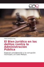 Bien Juridico en los delitos contra la Administracion Publica