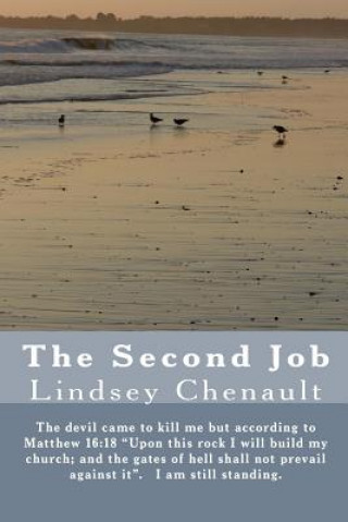 The Second Job