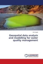 Geospatial data analysis and modelling for water quality management