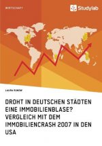 Droht in deutschen Stadten eine Immobilienblase? Vergleich mit dem Immobiliencrash 2007 in den USA