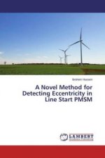 A Novel Method for Detecting Eccentricity in Line Start PMSM