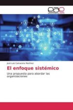 enfoque sistemico