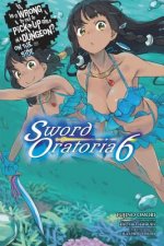 Is It Wrong to Try to Pick Up Girls in a Dungeon? Sword Oratoria, Vol. 6 (light novel)