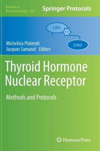 Thyroid Hormone Nuclear  Receptor