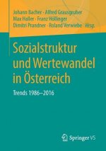 Sozialstruktur Und Wertewandel in OEsterreich