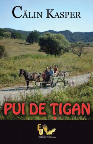 Pui de Tigan