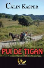 Pui de Tigan