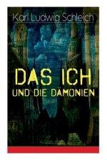 Das Ich und die D monien