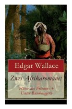 Zwei Afrikaromane
