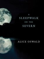 Sleepwalk on the Severn