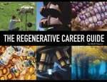 Regenerative Career Guide