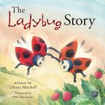 Ladybug Story