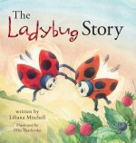 Ladybug Story