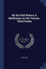 BY THE STILL WATERS; A MEDITATION ON THE