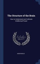 THE STRUCTURE OF THE BRAIN: HOW TO UNDER