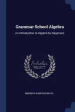 GRAMMAR SCHOOL ALGEBRA: AN INTRODUCTION
