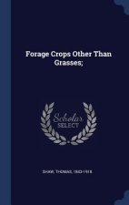 Forage Crops Other Than Grasses;