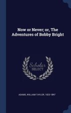 Now or Never; Or, the Adventures of Bobby Bright