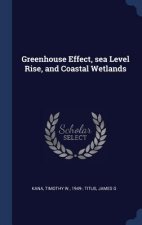 GREENHOUSE EFFECT, SEA LEVEL RISE, AND C