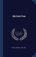 MY IRISH YEAR