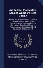 ARE FEDERAL PROSECUTORS LOCATED WHERE WE