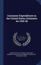 CONSUMER EXPENDITURES IN THE UNITED STAT