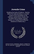 Juvenile Crime