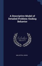 A DESCRIPTIVE MODEL OF DETAILED PROBLEM-