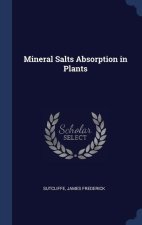 MINERAL SALTS ABSORPTION IN PLANTS