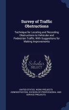 SURVEY OF TRAFFIC OBSTRUCTIONS: TECHNIQU
