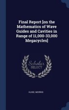 FINAL REPORT [ON THE MATHEMATICS OF WAVE