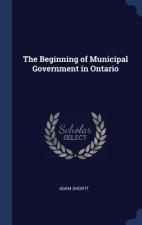 THE BEGINNING OF MUNICIPAL GOVERNMENT IN