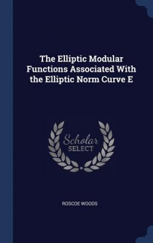 Elliptic Modular Functions Associated with the Elliptic Norm Curve E