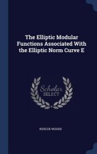 Elliptic Modular Functions Associated with the Elliptic Norm Curve E
