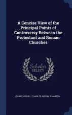 Concise View of the Principal Points of Controversy Between the Protestant and Roman Churches
