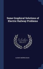SOME GRAPHICAL SOLUTIONS OF ELECTRIC RAI