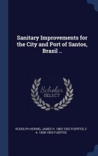 SANITARY IMPROVEMENTS FOR THE CITY AND P