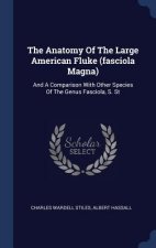 Anatomy of the Large American Fluke (Fasciola Magna)