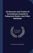 On Burrows and Tracks of Invertebrate Animals in Palaeozoic Rocks, and Other Markings