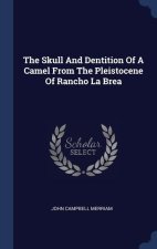 THE SKULL AND DENTITION OF A CAMEL FROM